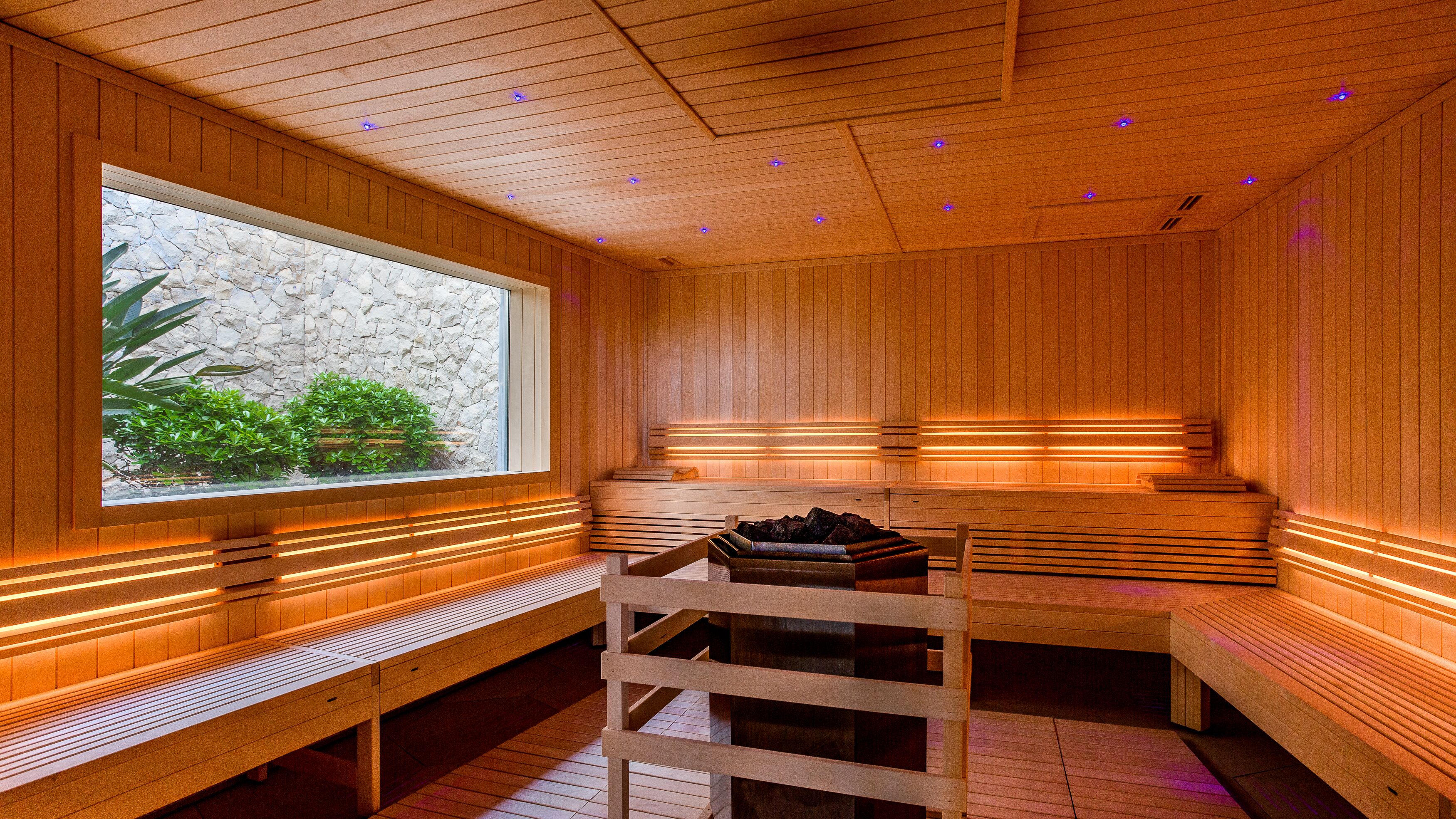 Una sauna con bancos de madera, una pared de piedra y una ventana con plantas.