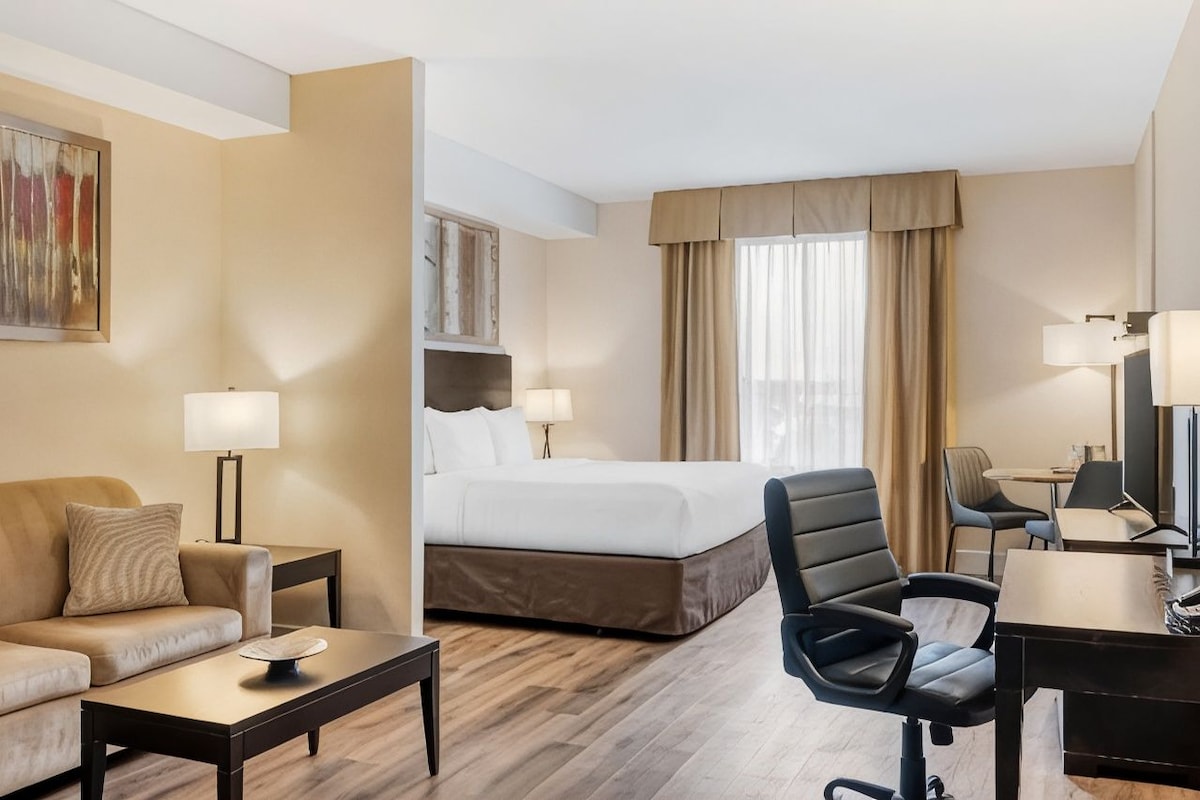 A hotel room with a bed, a sofa, a desk, and a chair.