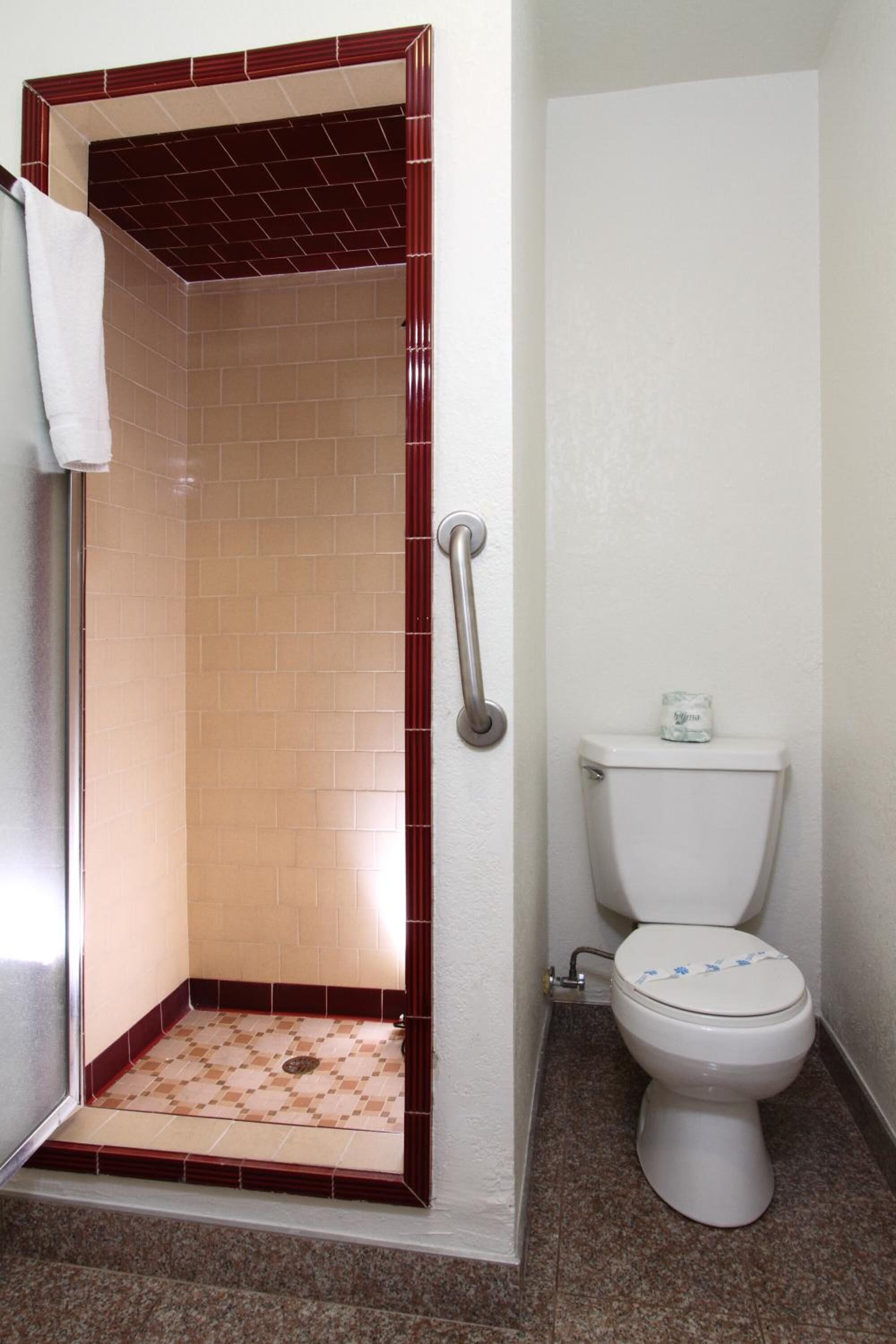 Ein Badezimmer mit Dusche, Toilette und Handlauf.