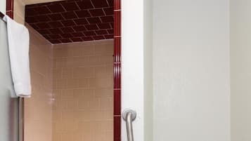 Ein Badezimmer mit Dusche, Toilette und Handlauf.