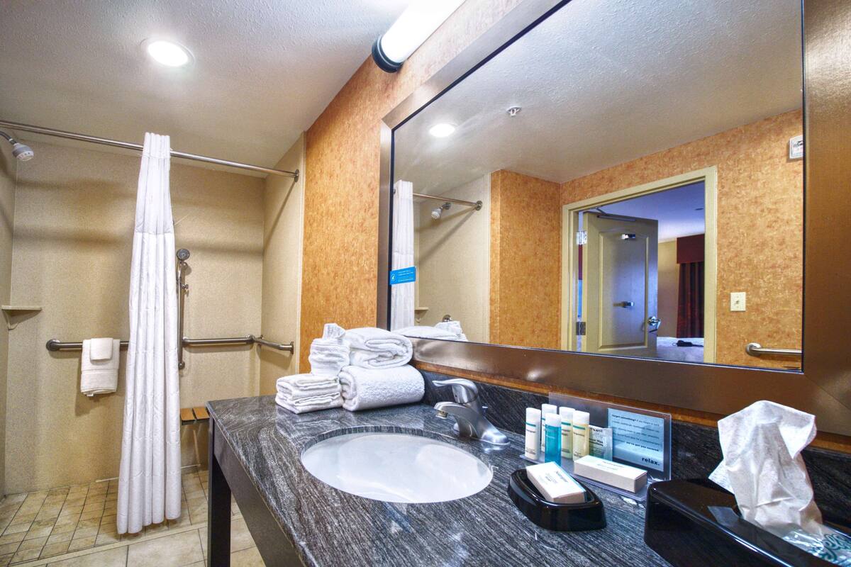 studio, accessible, non smoking | bathroom shower