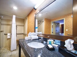 Estudio, accesible para personas con discapacidad, no fumadores | Ducha del cuarto de baño