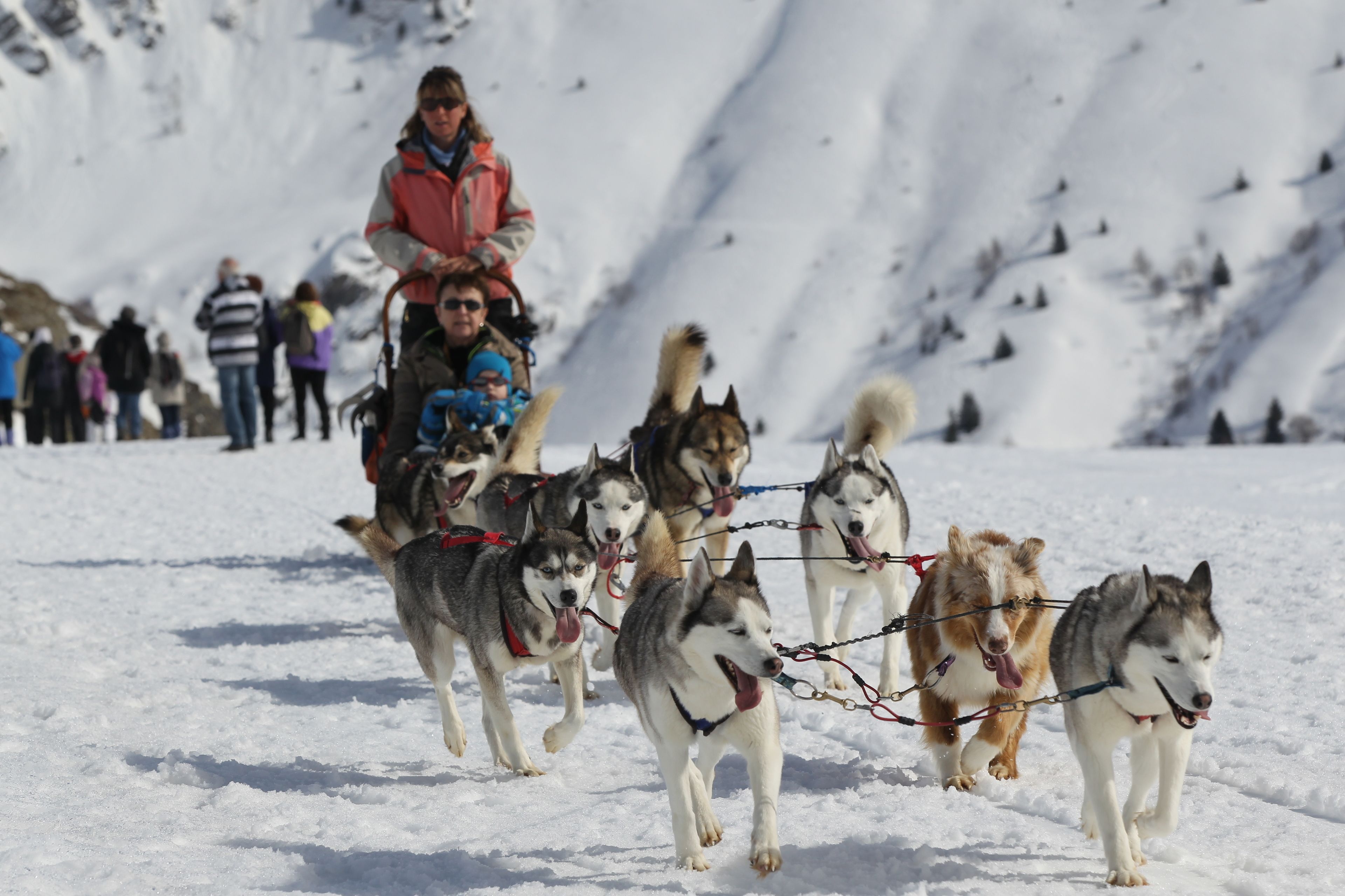 Een groep sledhonden die een slede trekken met een persoon en een kind erop.