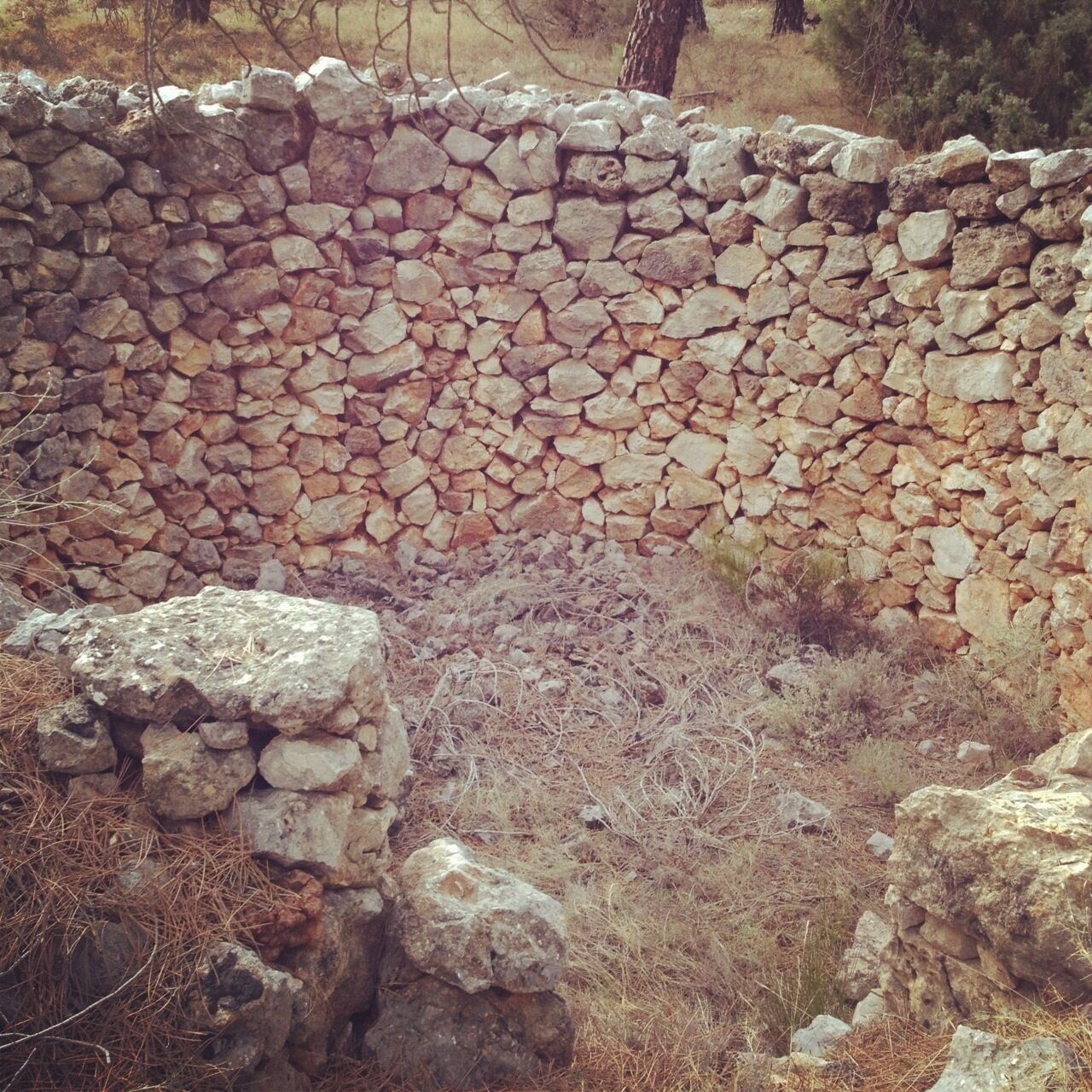 A stone wall with a rough texture, surrounded by dry grass and scattered rocks.
