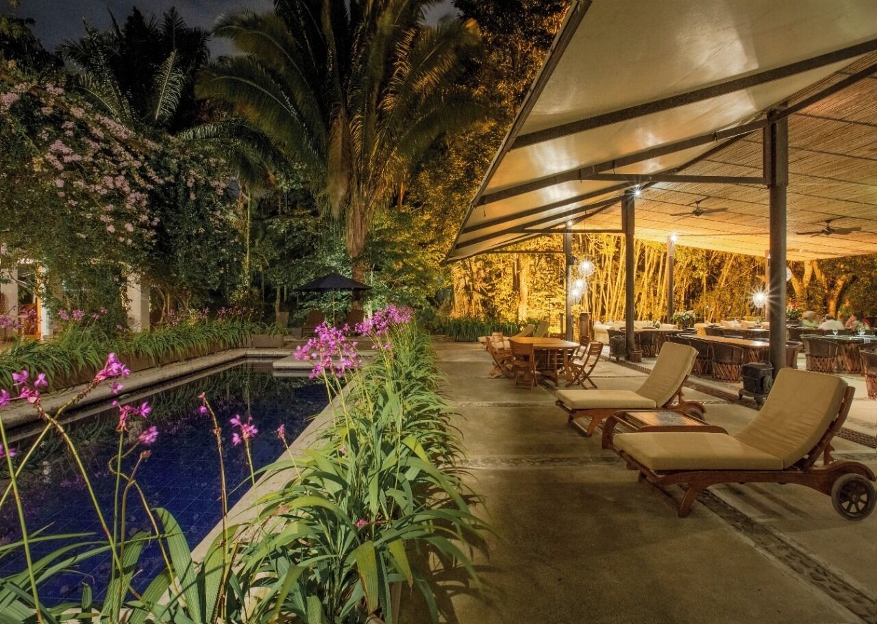 Outdoor pool, pool umbrellas, pool loungers