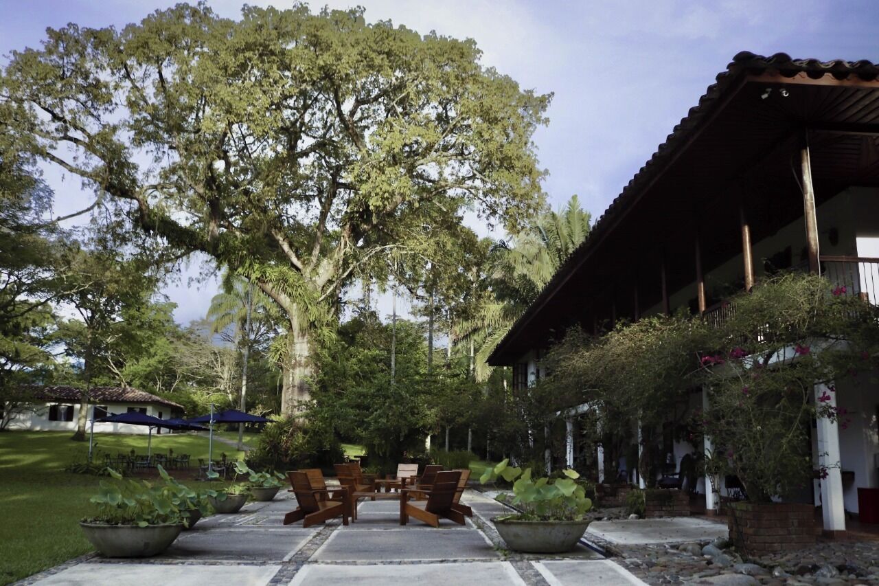 Ein Gebäude mit überdachter Terrasse, Sitzgelegenheiten im Freien und einem großen Baum im Hintergrund.