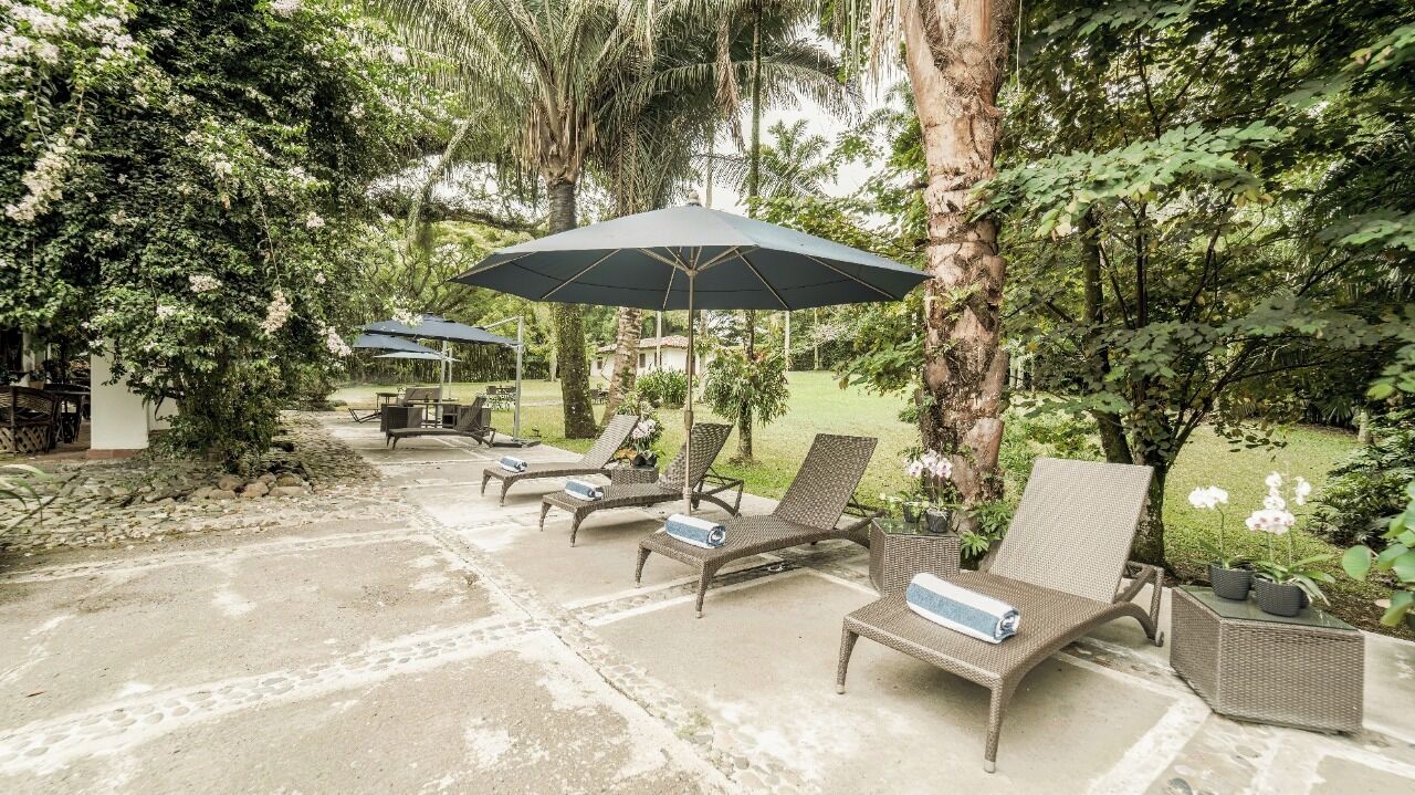 A patio with lounge chairs and umbrellas, surrounded by lush greenery and trees.
