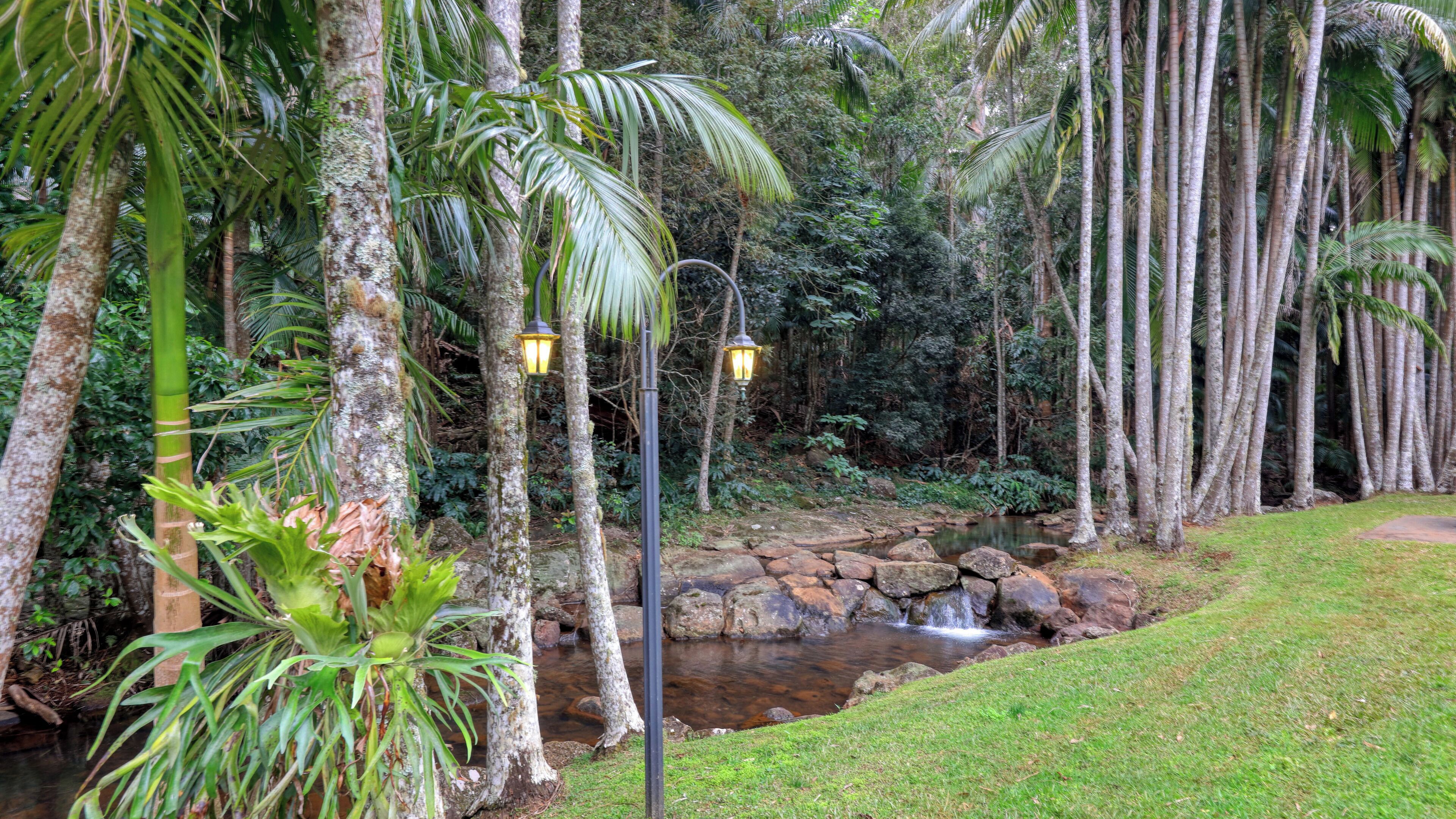 A tropical garden with a small stream, palm trees, and a stone pathway.