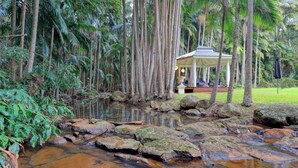 Un quiosco con techo y zona de estar, rodeado por un bosque tropical y un pequeño arroyo.