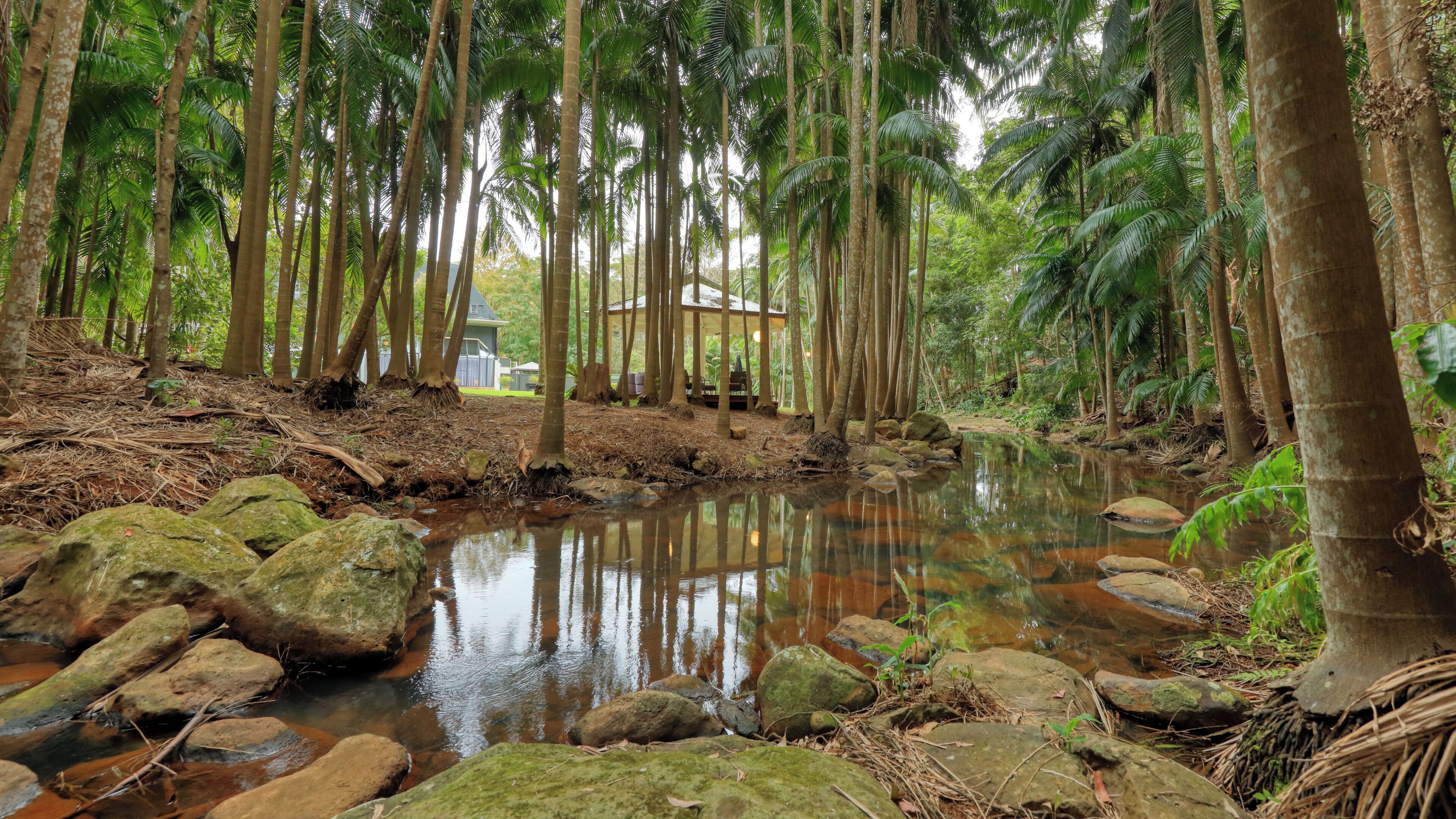 Une scène paisible de forêt, avec une petite construction en bois près d’un ruisseau aux eaux claires, entourée de grands arbres et de rochers.