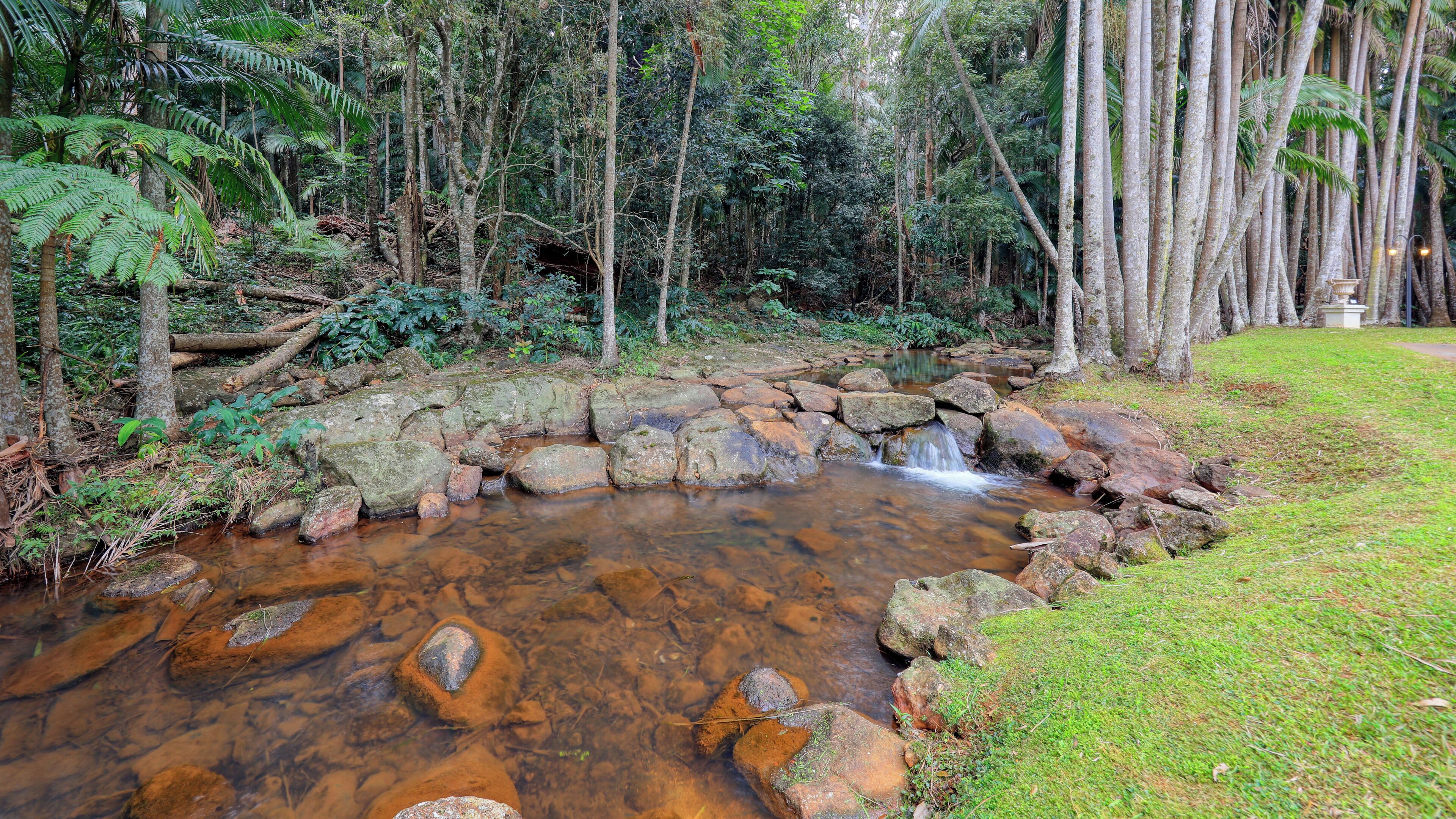 Un cours d’eau naturel à l’eau claire qui serpente entre les rochers, entouré d’une végétation tropicale luxuriante et d’arbres.