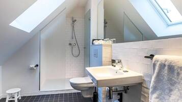 A modern bathroom with a skylight, a shower, a toilet, and a sink.