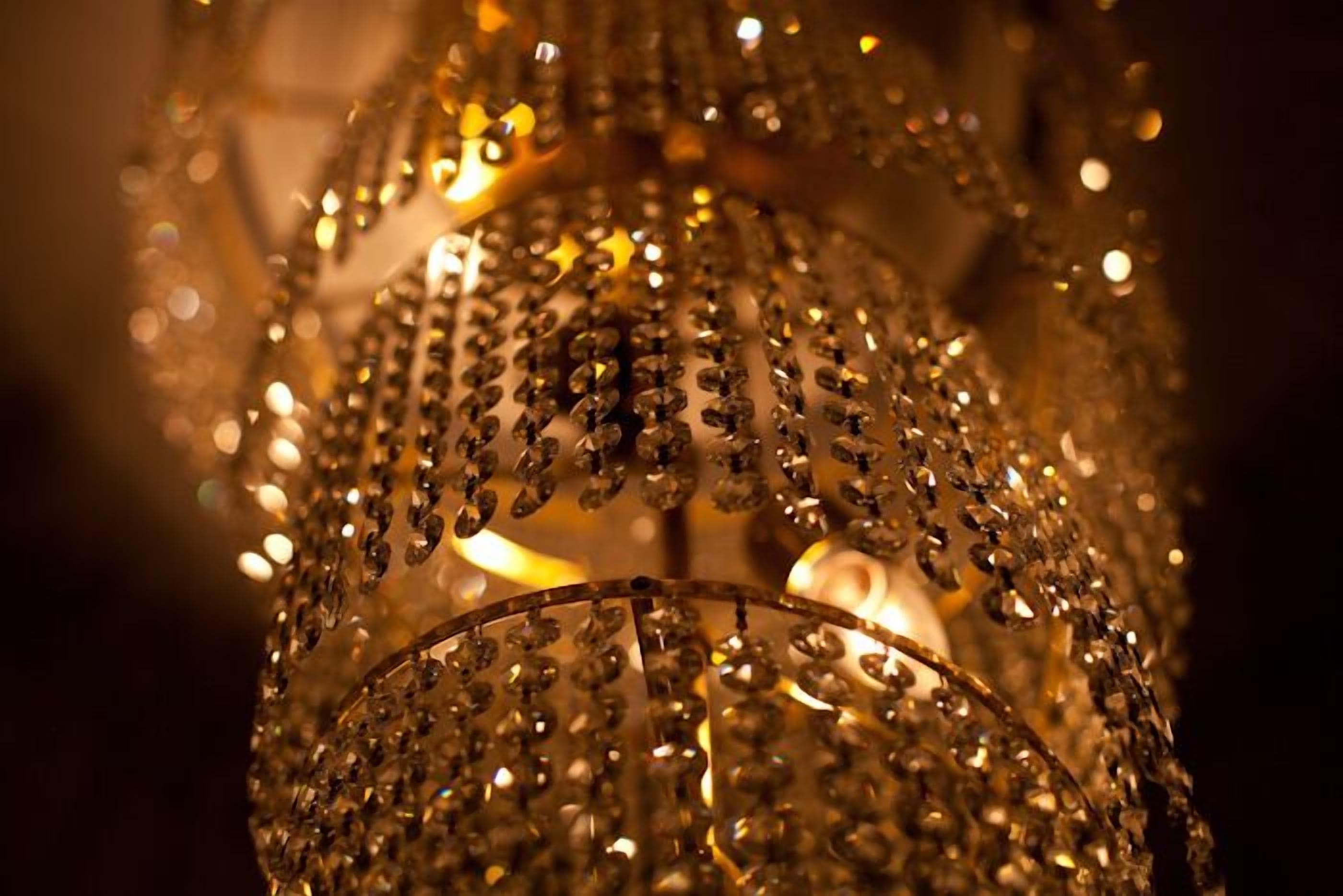 Foto - Maxim Pasha Hotel