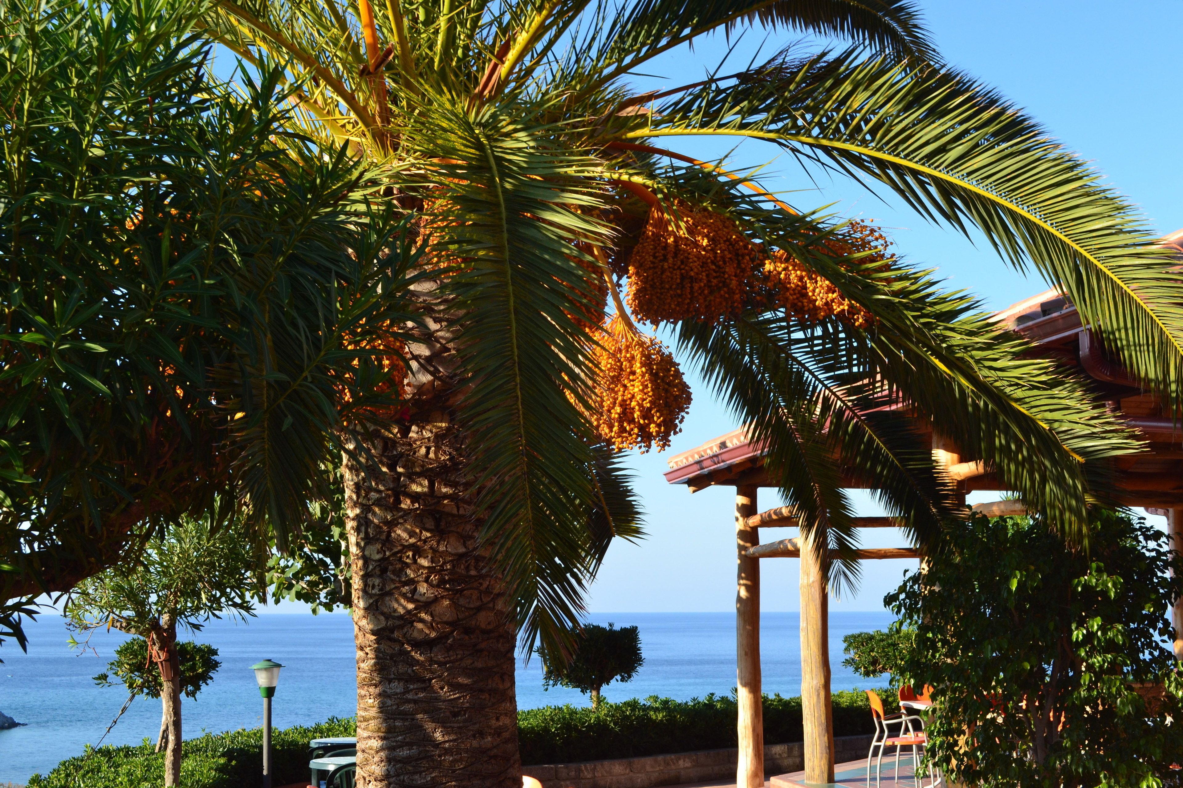 Foto - Residence New Paradise