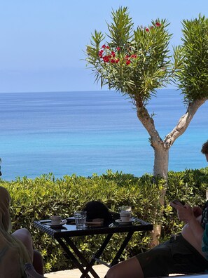 A table with a view of the ocean, a tree with red flowers, and a clear blue sky. - Residence New Paradise (Tropea)