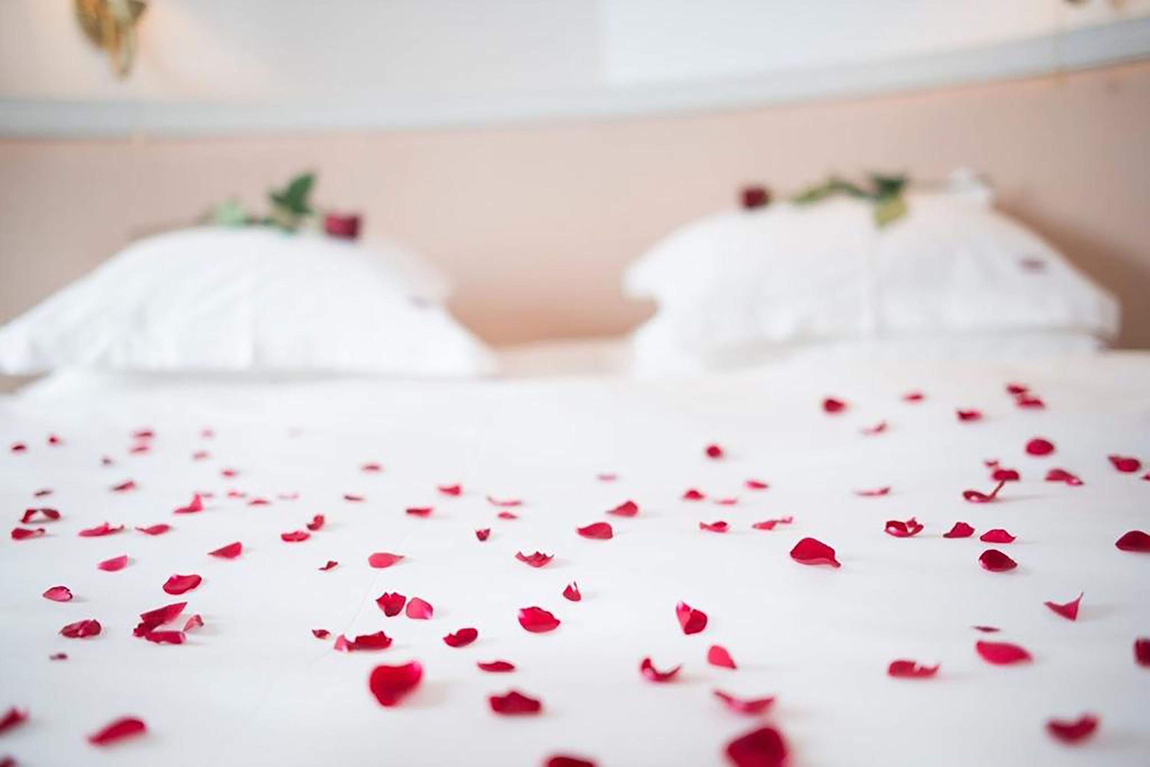 Photo - Brommavik Hotel