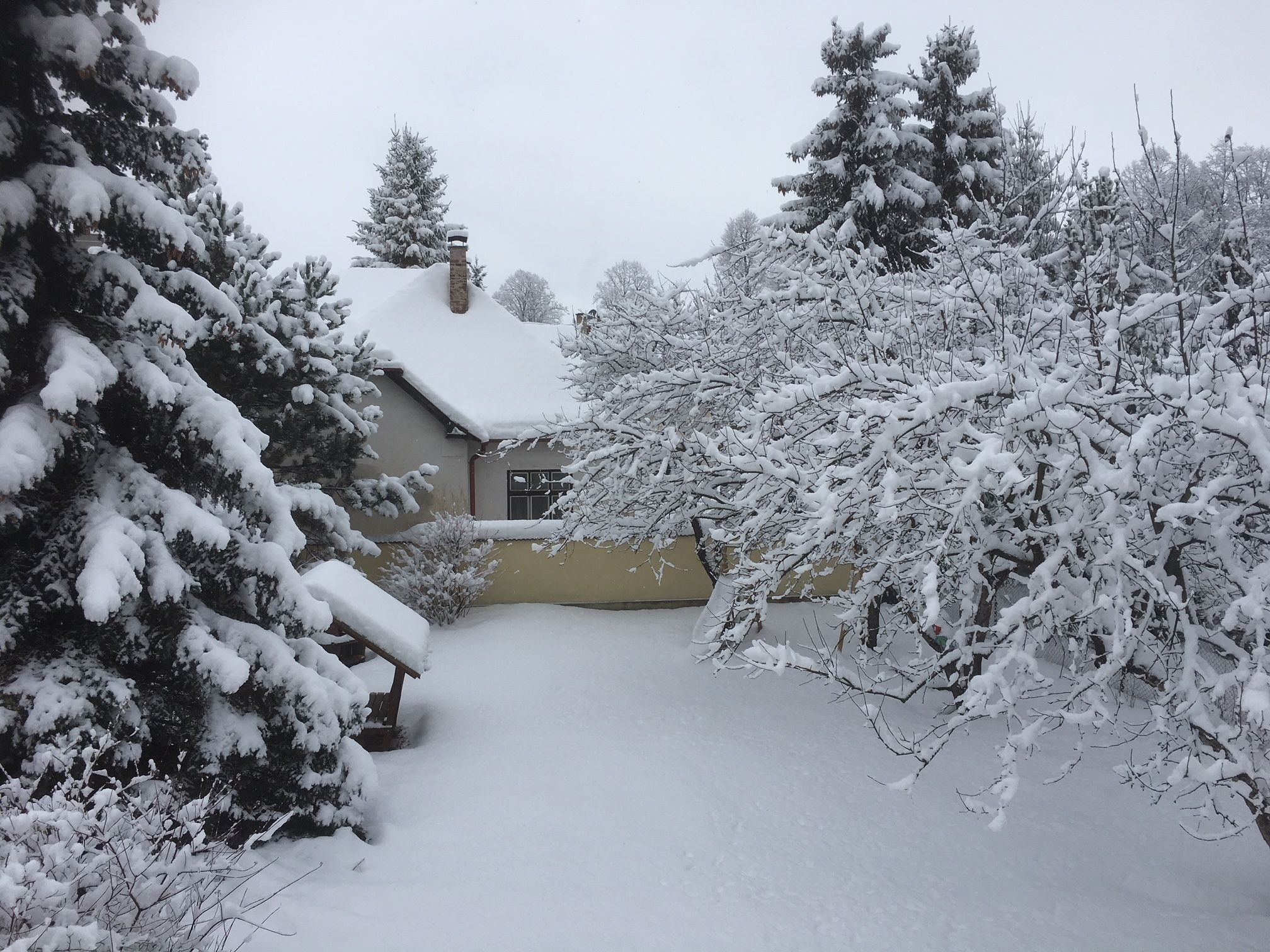 Enceinte de l’hébergement