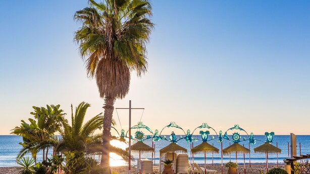 A beach with palm trees, beach chairs, and umbrellas. - Hostal Guadalupe (Torremolinos)
