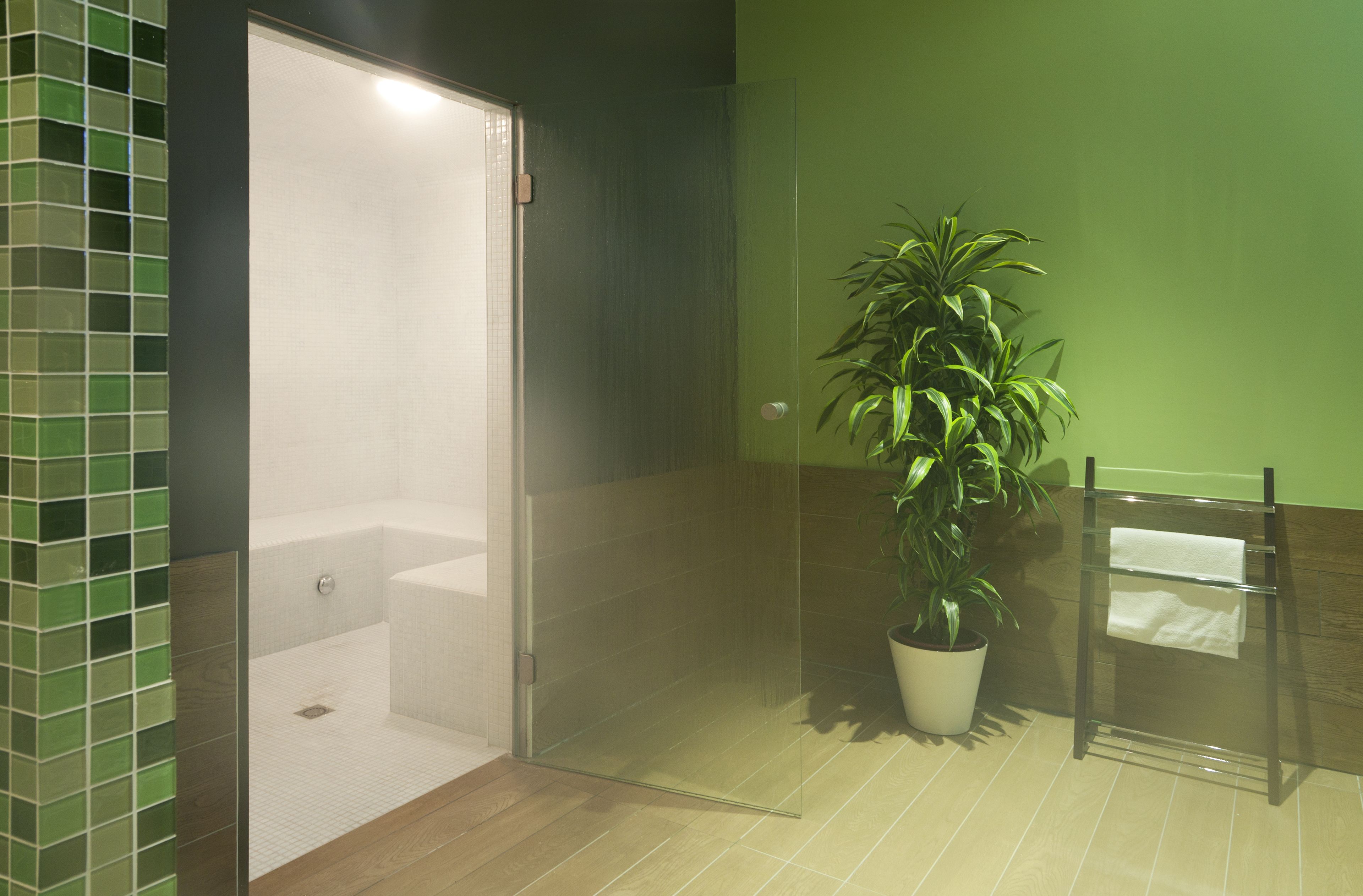 Een moderne badkamer met een douchecabine van glas, een potplant en een handdoekhouder.