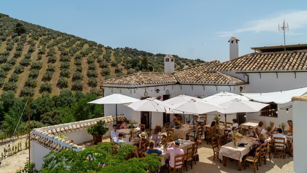 An outdoor patio with tables and chairs, surrounded by white walls and a tiled roof. - Cortijo La Presa (Priego de Córdoba)