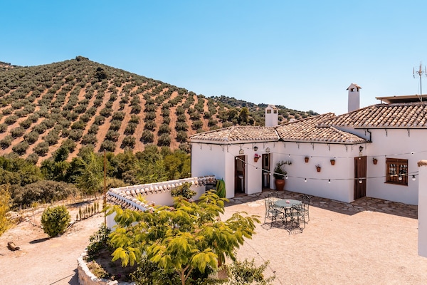 Classic Villa, Multiple Bedrooms, Mountain View | Teres/patio