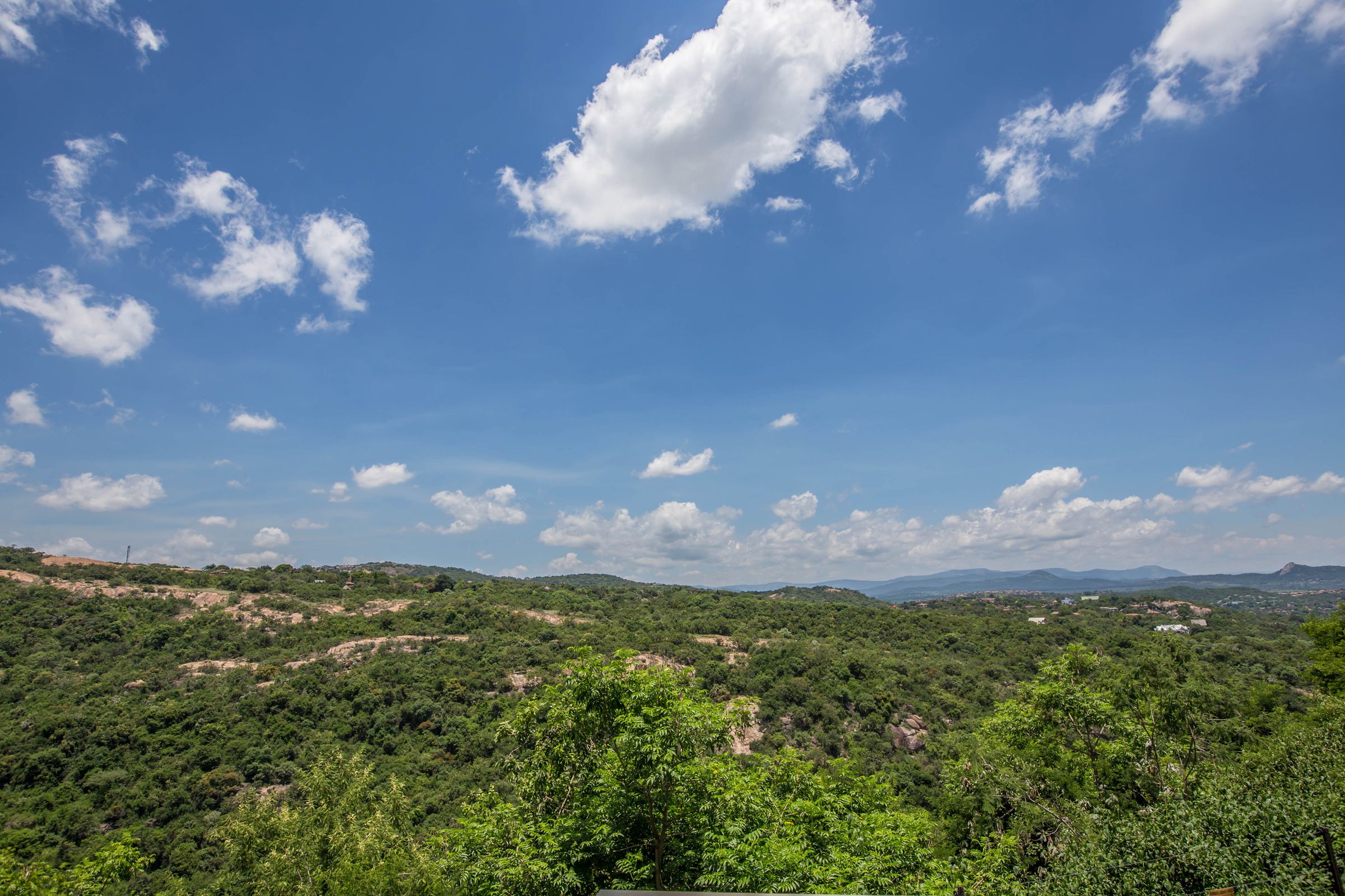 Un paysage verdoyant, avec une végétation luxuriante et un ciel bleu dégagé.