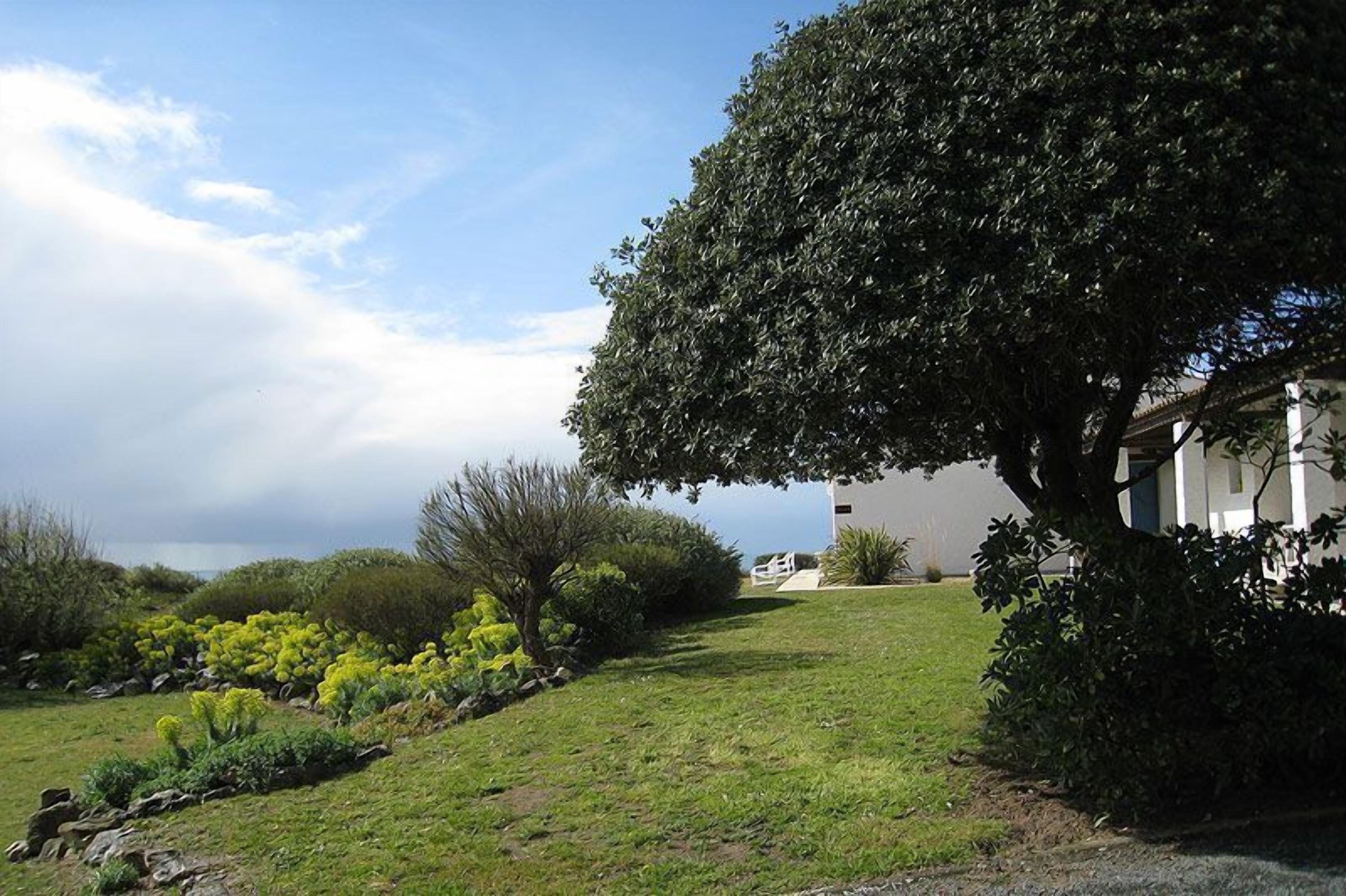 A well-maintained garden with a variety of plants and a large tree in the foreground.