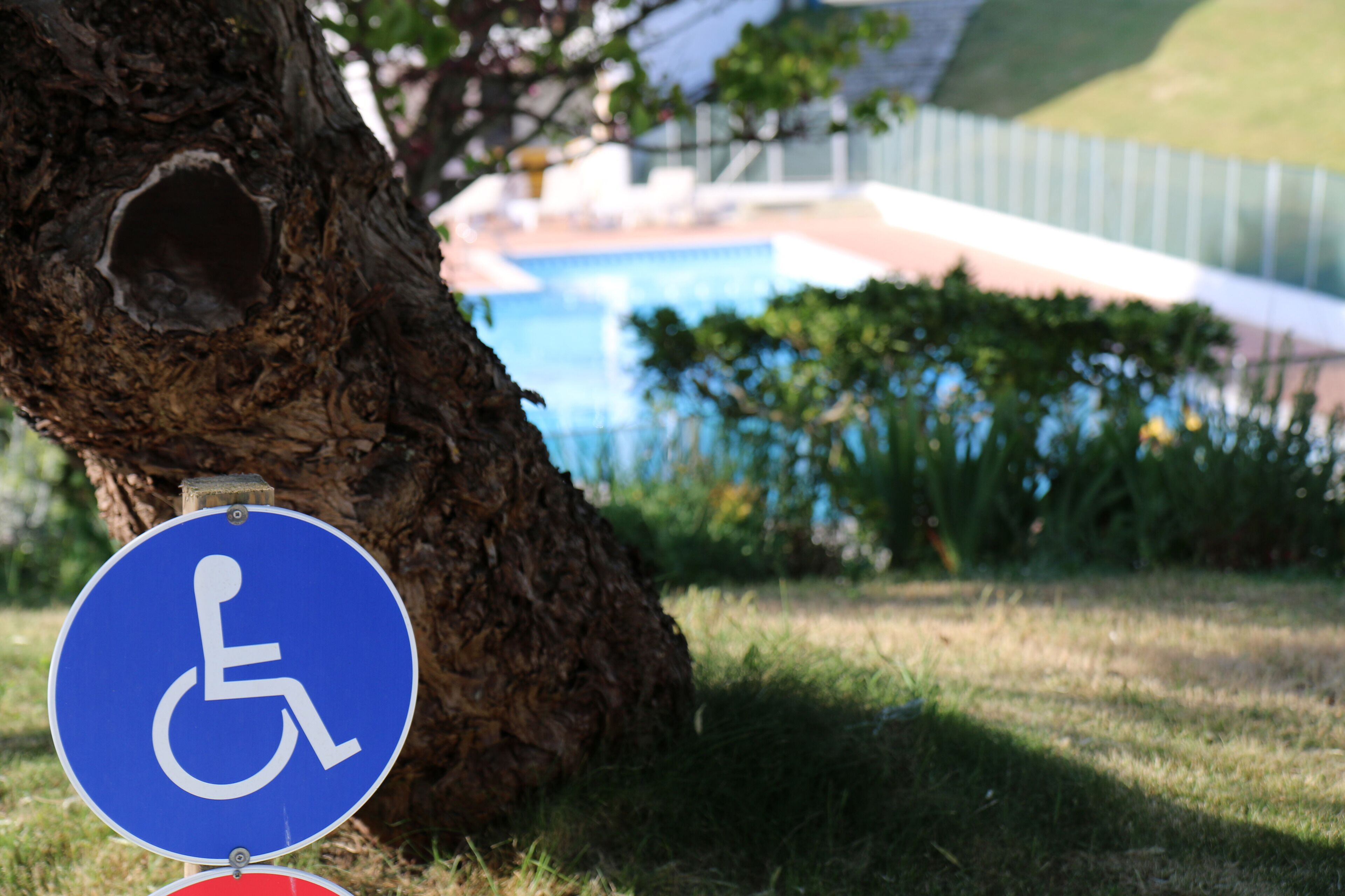 Un panneau bleu indiquant l’accessibilité pour les personnes handicapées, fixé à un arbre, avec une piscine et un bâtiment en arrière-plan.