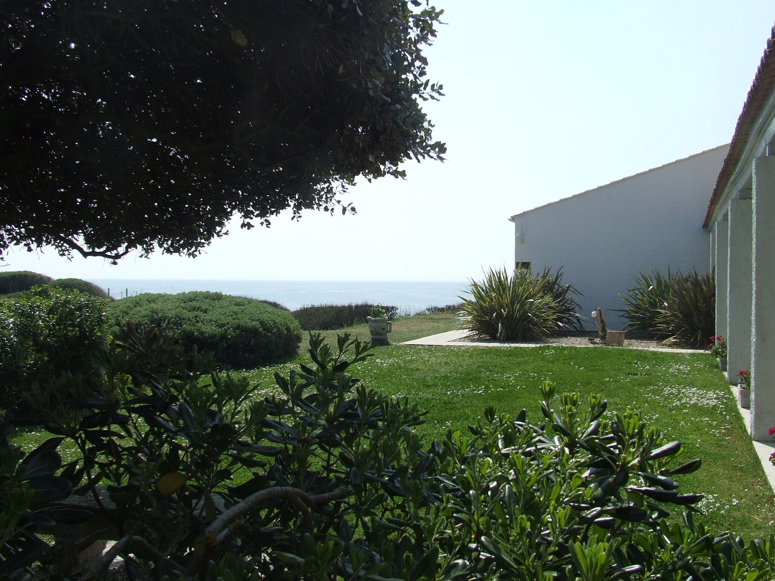 Un jardín con vista al mar, un edificio blanco y un árbol.