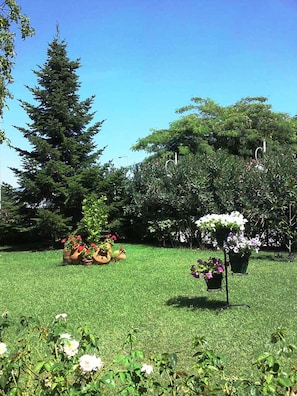 Jardin