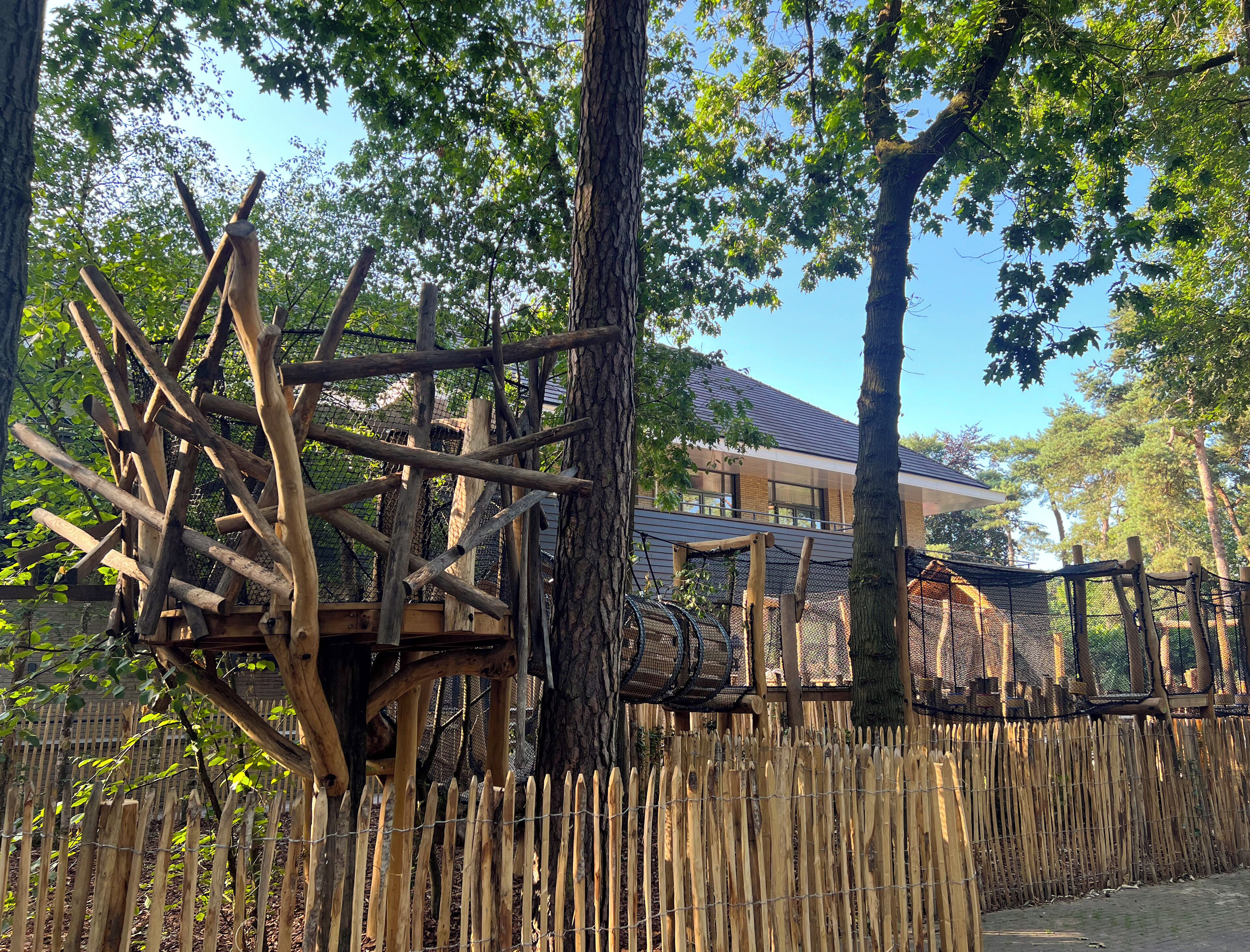 Una valla de madera, árboles y un edificio con techo inclinado.