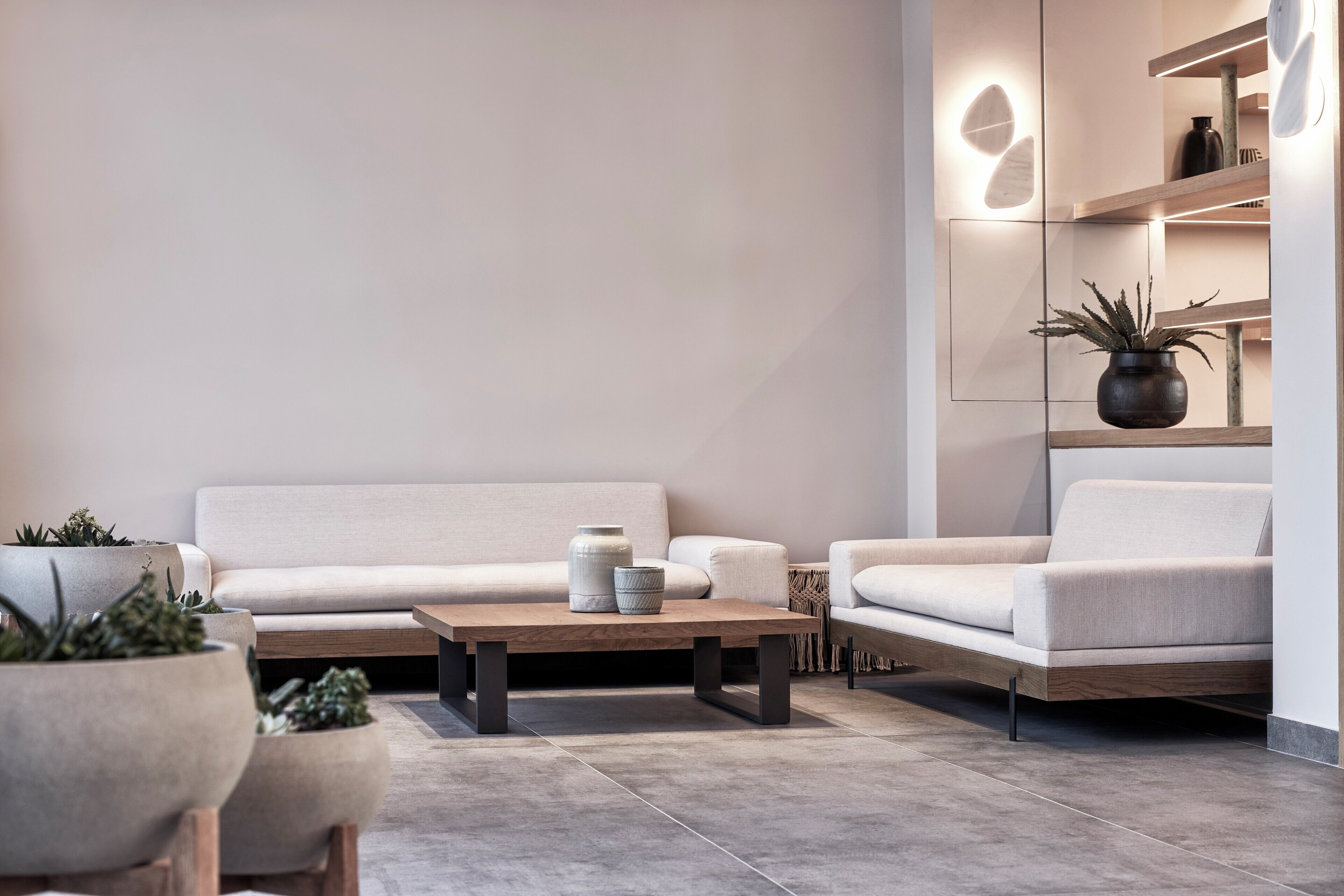 A modern living room with a sofa, a coffee table, and potted plants.