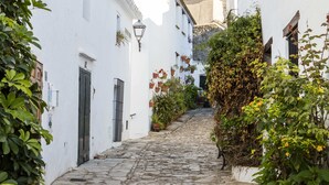 A narrow cobblestone street flanked by white buildings with terracotta roofs, stone steps, and a black bench. - TUGASA Castillo de Castellar (Castellar de la Frontera)