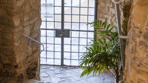 A stone-walled corridor with a metal gate, a potted plant, and a wall-mounted light fixture. - TUGASA Castillo de Castellar (Castellar de la Frontera)