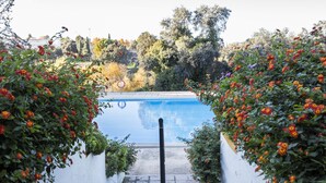 A swimming pool surrounded by lush greenery and a white wall. - TUGASA El Almendral (Setenil de las Bodegas)