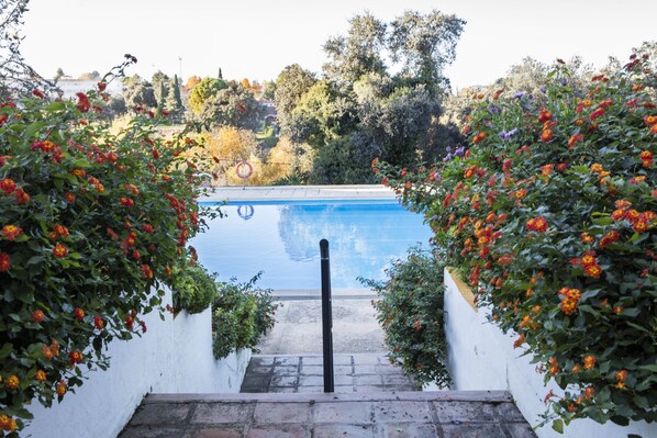 Une piscine entourée d’une végétation luxuriante et d’un mur blanc.