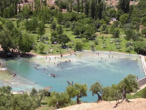 Un grand espace de baignade en plein air, entouré d’arbres et de zones herbeuses.