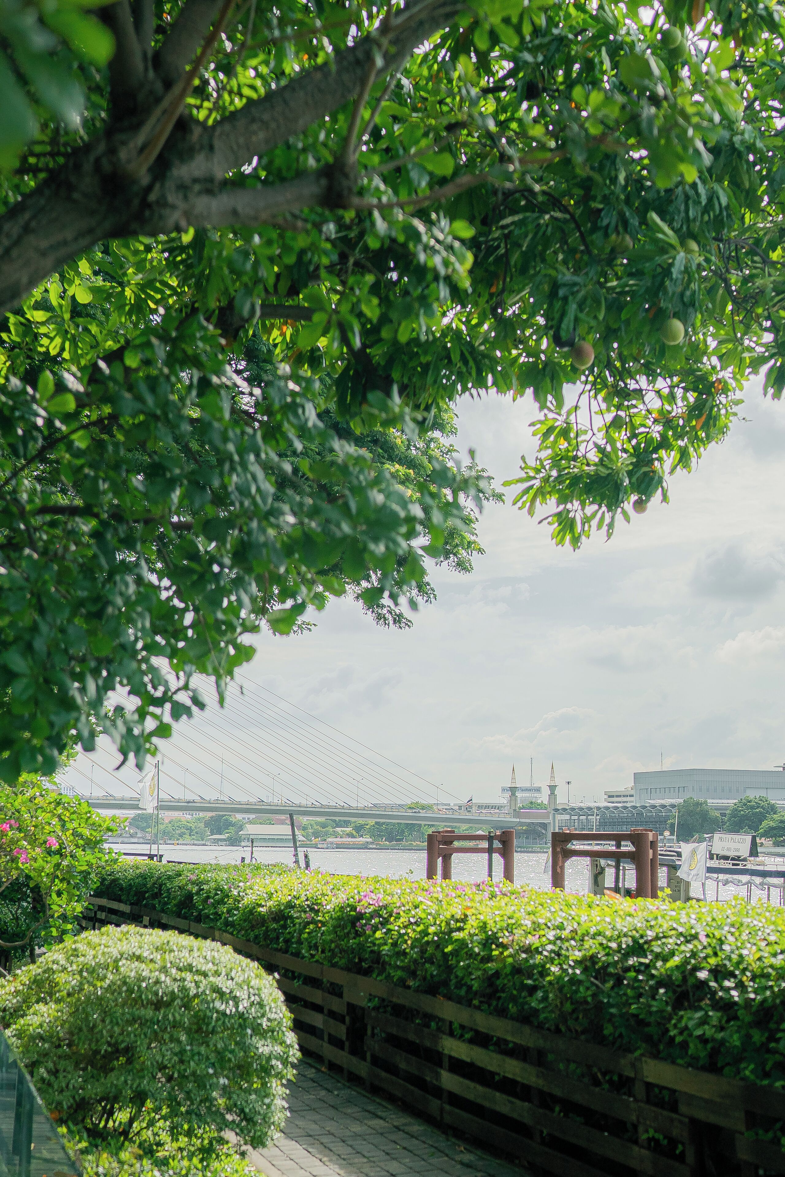 Foto - Praya Palazzo