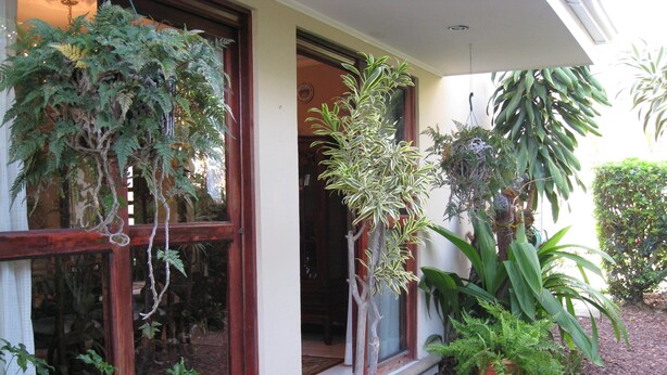 Exterior - Casa Isabella (Escazu)