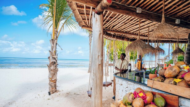 Un bar situé en bord de mer, avec une structure en bois, un palmier et des noix de coco exposées.