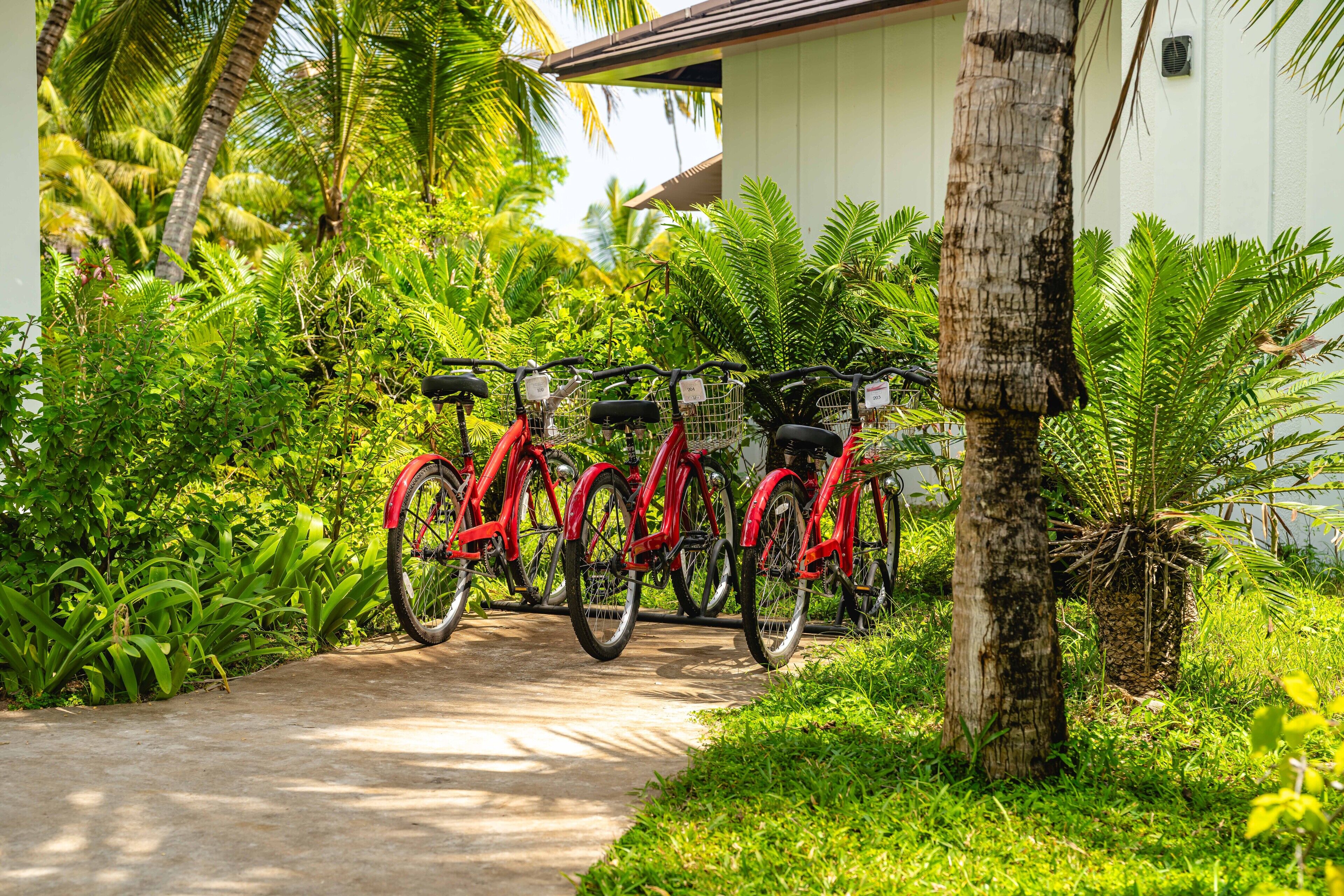 A pathway leading to a building with bicycles parked outside.