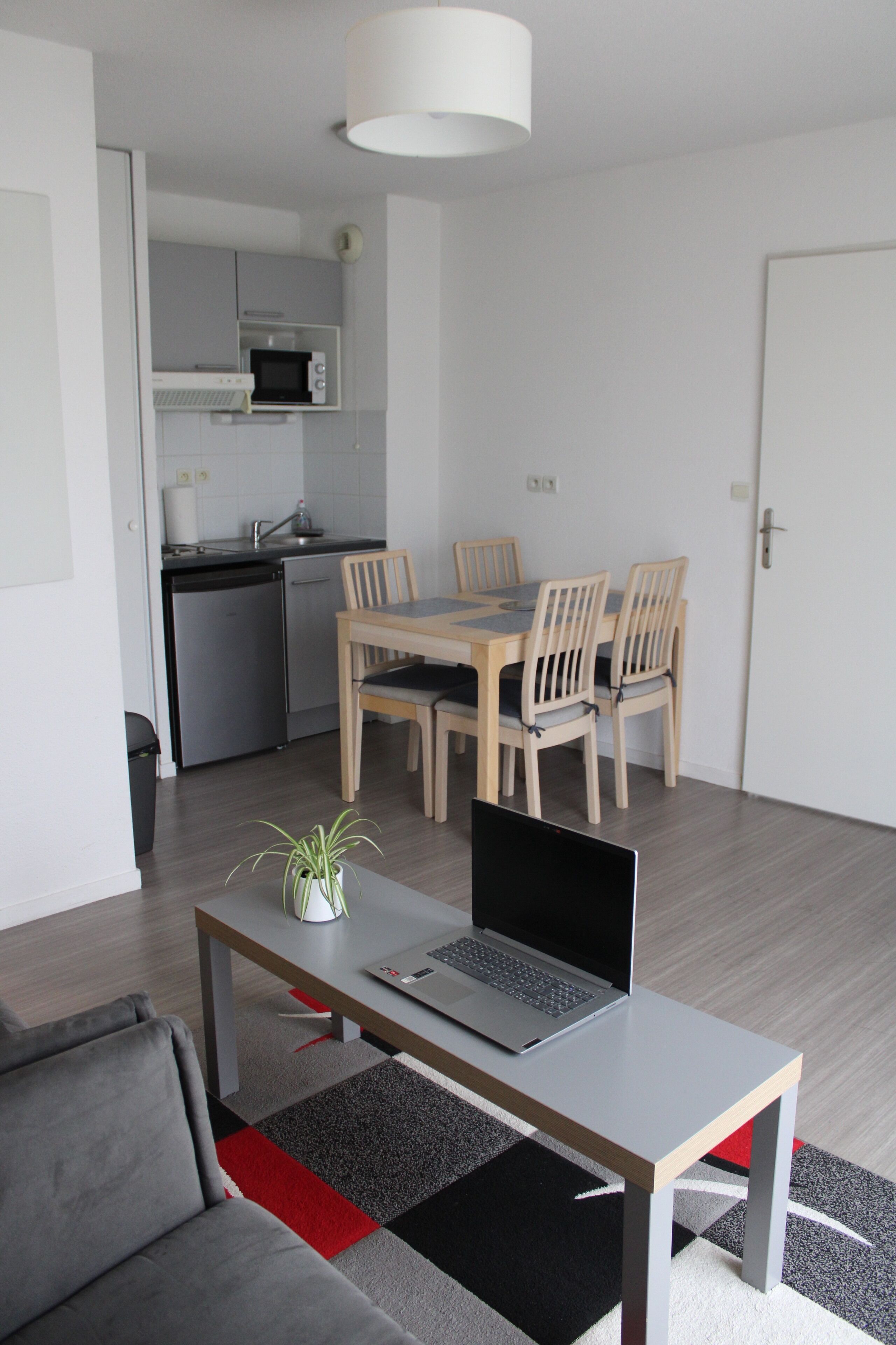 Een moderne woonkamer met een grijze bank, een houten eettafel met stoelen, een laptop op een bijzettafeltje, een kamerplant en een keukenhoek met een magnetron en vaatwasser.