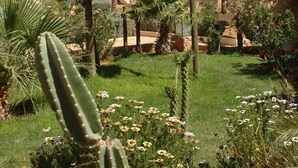 A building with a traditional architectural style, surrounded by a well-maintained garden with various plants and a cactus.