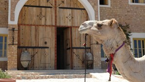 A camel in front of a building with a large wooden door and a stone wall.