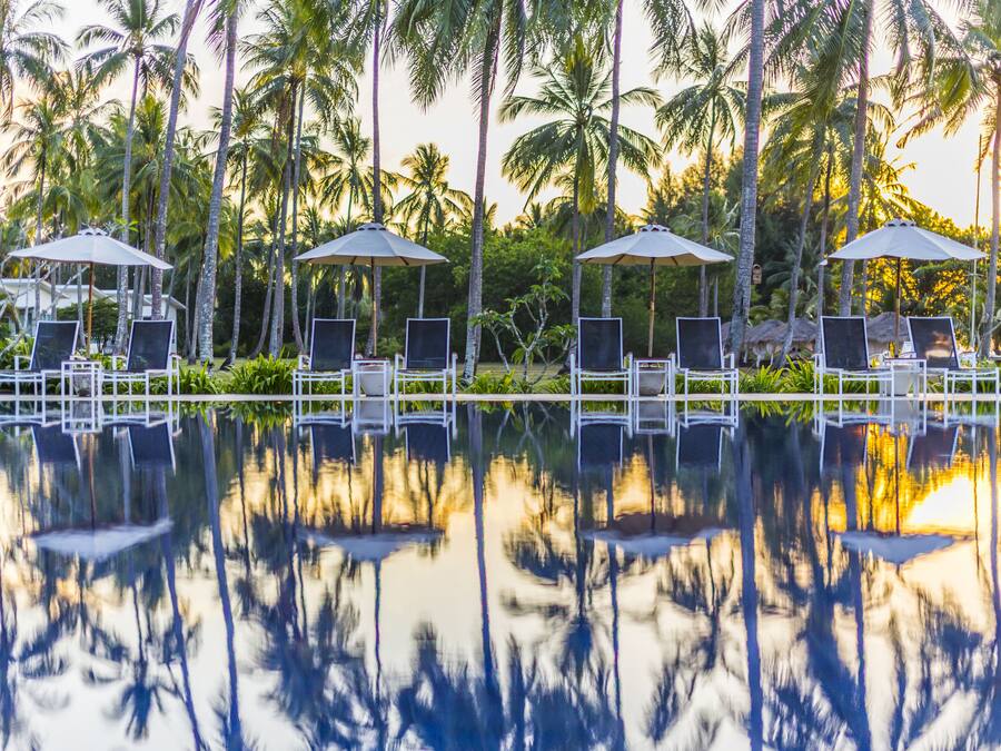 Un área junto a la piscina con sillones de descanso y sombrillas, rodeada de palmeras.