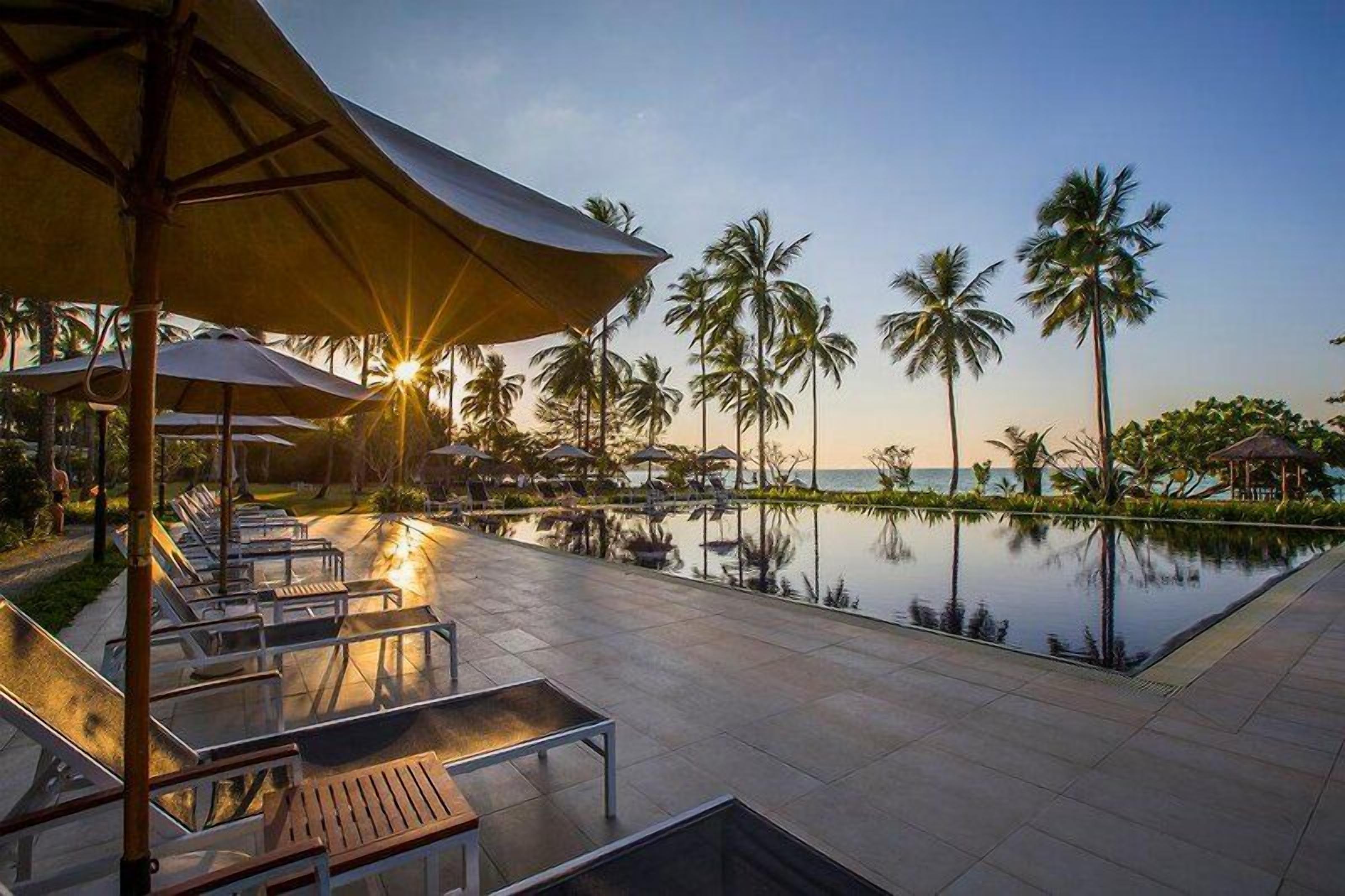 Un espace aménagé au bord de la piscine, avec des chaises longues et des parasols, des palmiers et une vue sur l’eau.