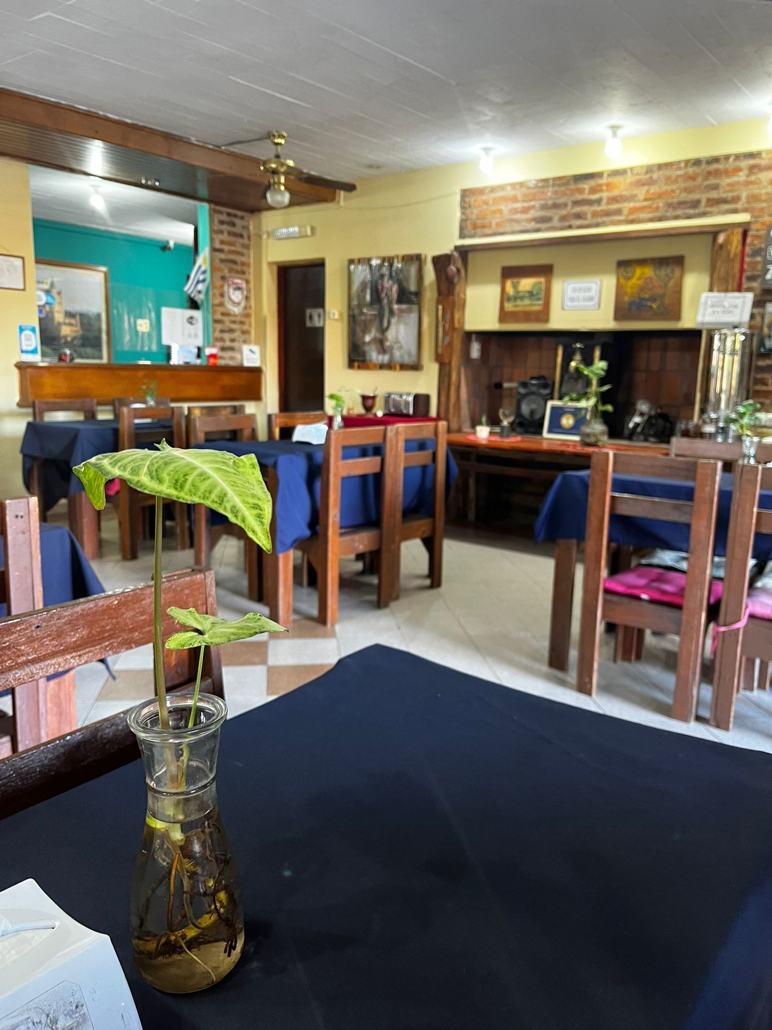 Interior de restaurante con sillas de madera, una mesa con mantel oscuro y un florero con planta.