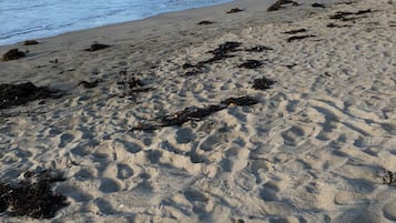 Una spiaggia nelle vicinanze