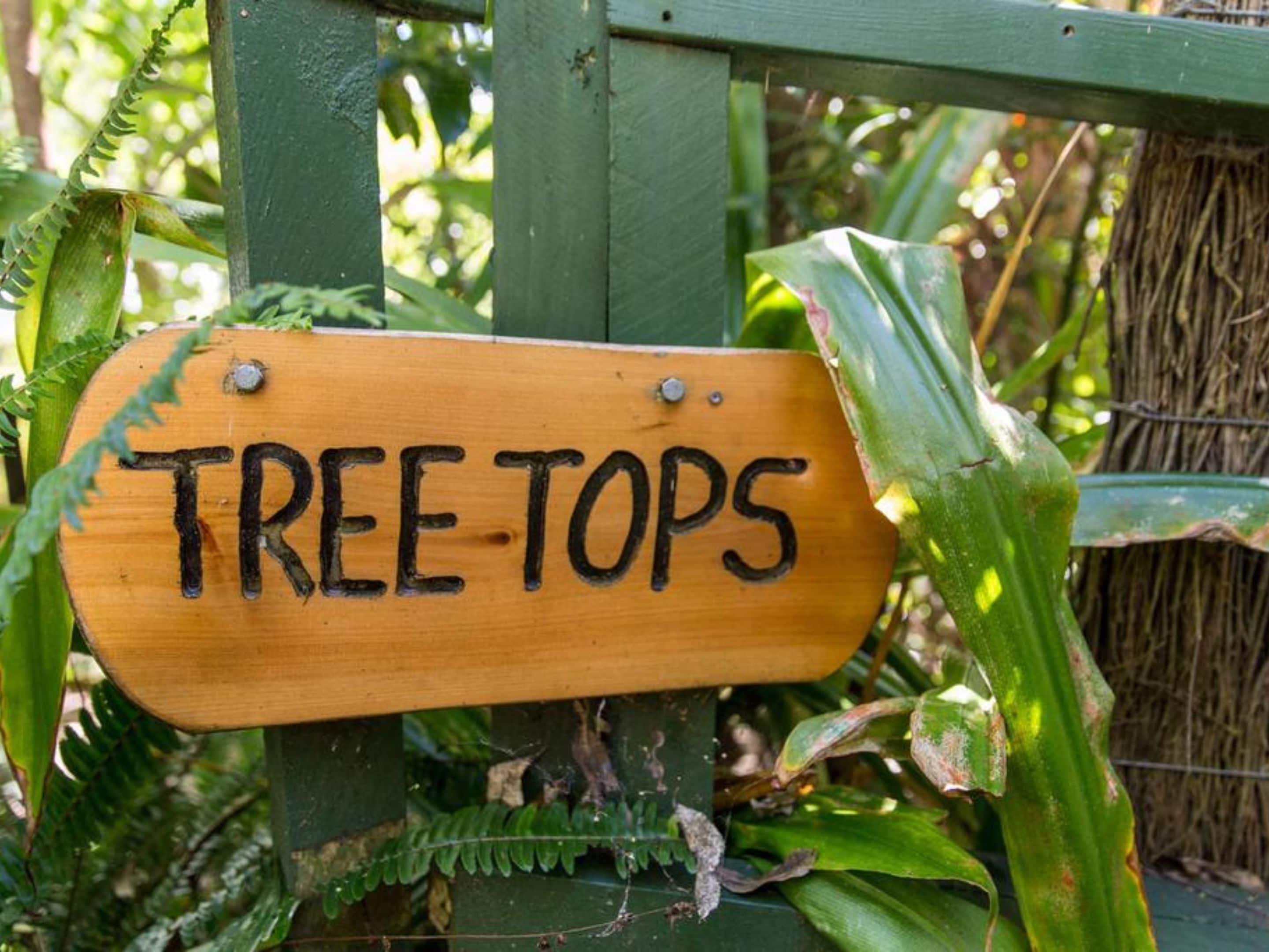 Un letrero de madera con el texto 'TREE TOPS' sujeto a un poste verde.