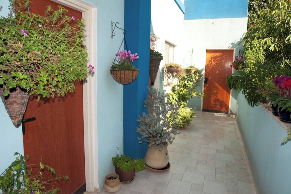 Uma viela estreita com uma parede azul, uma porta de madeira e diversos vasos de plantas e cestos suspensos.